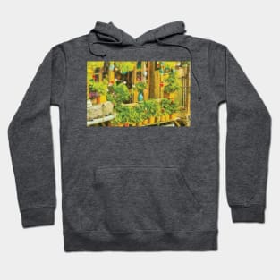 Oil painting of Geraniums on window in summerday Hoodie